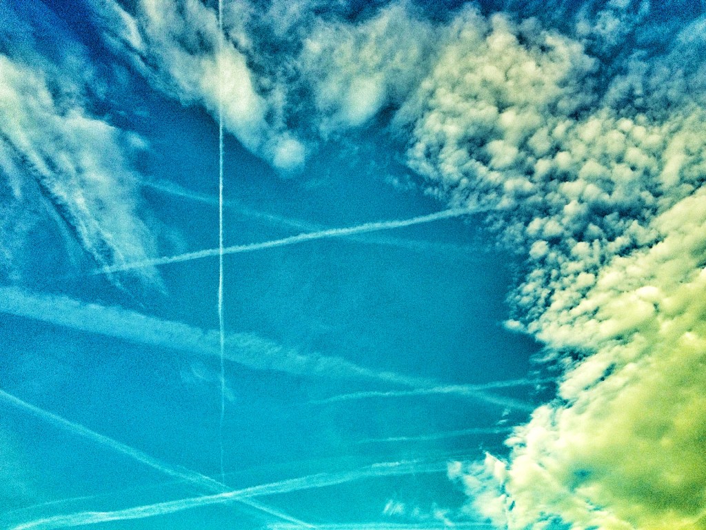 eden